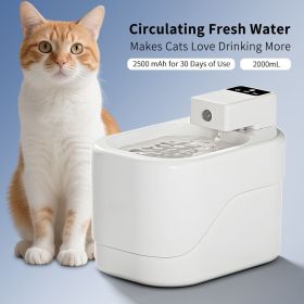 Cat Water Fountain, Pet Water Fountain