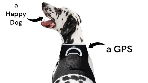 Pet Tracker Mini Rechargeable GSM GPS Tracking Device for Cats w/ Mobility Detector Size:M