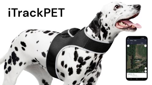 Pet Tracker Waterproof GPS Pet Collar Tracking Device - Best Pet Security Size:M