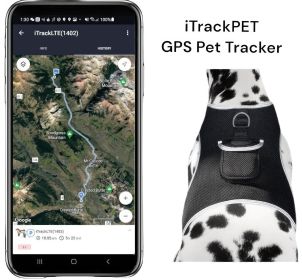 Pet Tracker Rechargeable Pet Tracker Rechargeable GSM GPS Tracking System for Cats Size:M