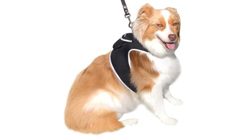 Pet Tracker Wireless Tracking Waterproof GPS for Pets Collar Mount Tracker Size:XXL