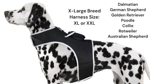 Pet Tracker Wearable Realtime Dog Tracking Devices Collar Mount Pet Finder Size:XXL