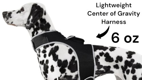 Pocket Dog Collar with GPS Mini Tracking Tool for Live Pet Monitoring Size:XXL