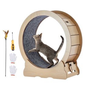 Cat Exercise Wheel, Large Cat Treadmill Wheel for Indoor Cats